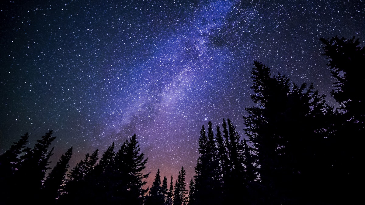 Bosque bajo un cielo nocturno estrellado que evoca la energía del número angelical 222